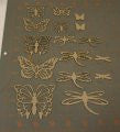Butterflies & Dragonflies